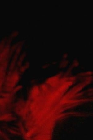 Actor Juan Valdez attends "HBO's Post Emmy Party" at the Pacific Design Centre. Photo by Mark Mainz/Getty Images