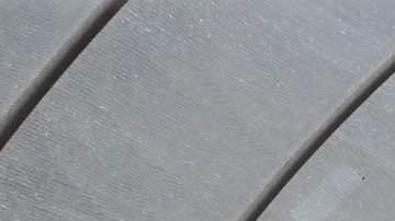 James Barela. Image courtesy of Baetanical.