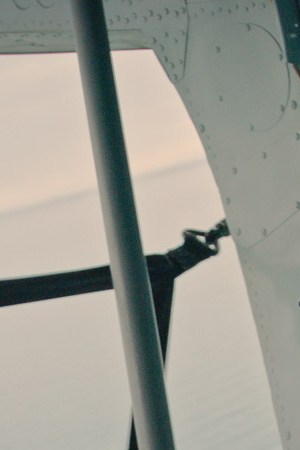 A still from Sea of Shadows by Richard Ladkani, official selection at the 2019 Sundance Film Festival. Courtesy of Sundance Institute.