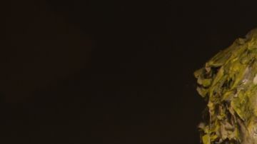 Courtesy of the filmmakers.