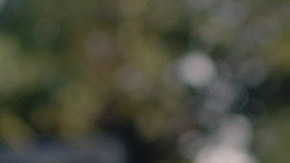 Xabiani Ponce de León appears in 'This is not Berlin' by Hari Sama. Photo by Alfredo Altamirano. Courtesy of Sundance Institute