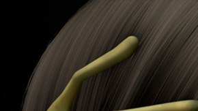 Courtesy of Anima Estudios