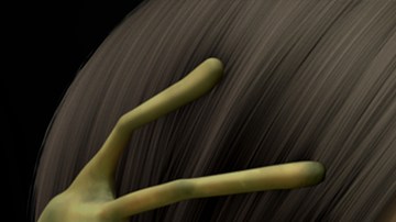 Courtesy of Anima Estudios