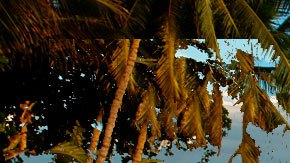 Art by Alan Lopez for Remezcla