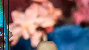 Art by Alan Lopez for Remezcla. Original photo by Itzel Alejandra Martinez for Remezcla