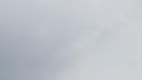 Photo courtesy of Eli Jacobs Fantauzzi.