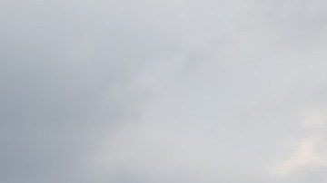 Photo courtesy of Eli Jacobs Fantauzzi.