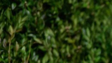 21 Savage attends the CFDA / Vogue Fashion Fund 15th Anniversary Event at Brooklyn Navy Yard on November 5, 2018 in Brooklyn, New York. Photo by Roy Rochlin/Getty Images