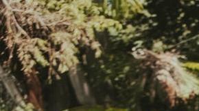 Photo by Andrea Gonar courtesy of Bahidorá.