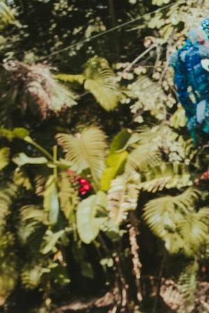 Photo by Andrea Gonar courtesy of Bahidorá.