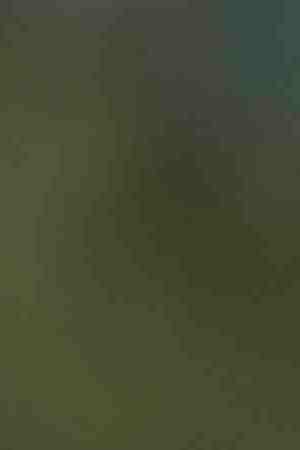 A patch on the uniform of a U.S. Border Patrol agent. Photo by Scott Eisen/Getty Images