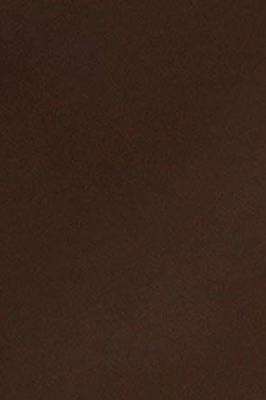 U.S. Rep. Ilhan Omar (D-MN) speaks during a news conference January 24, 2019 on Capitol Hill in Washington, DC. The Democratic Congresswomen held a news conference on legislation providing childcare for workers affected by the ongoing government shutdown. Photo by Alex Wong/Getty Images