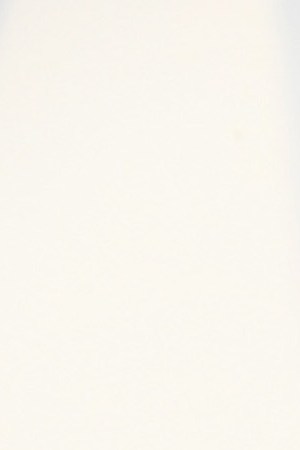 Diego Luna attends the 91st Annual Academy Awards at Hollywood and Highland on February 24, 2019 in Hollywood, California. Photo by Frazer Harrison/Getty Images