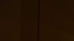 Chris Miller and Phil Lord, winners of the Animated Feature Film award for 'Spider-Man: Into the Spider-Verse,' attend 91st Annual Academy Awards. Photo by Kevork Djansezian/Getty Images