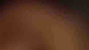 Photo by Paul Bradbury / 	Caiaimage