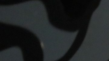 Dana Perino speaks onstage during the L'Oreal Paris Women of Worth Celebration 2017 on December 6, 2017 in New York City. Photo by Cindy Ord/Getty Images for L'Oreal