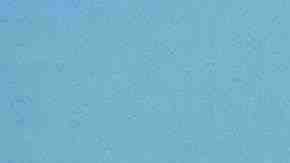 Photo by Westend61 / Getty