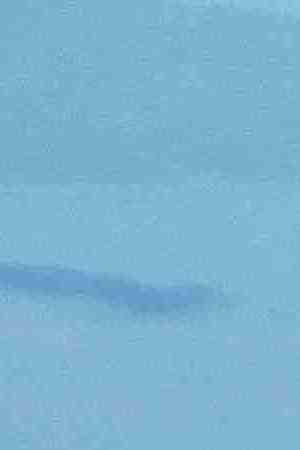 Photo by Westend61 / Getty