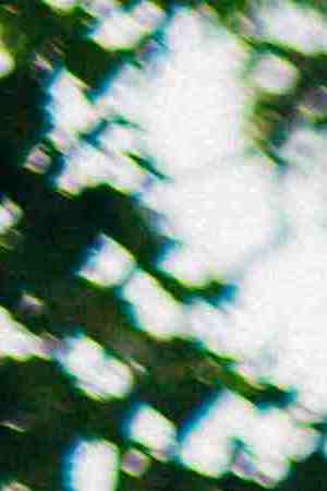 Photo by Patric Xo / 	500px Prime