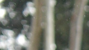 Joy Villa attends the 61st Annual GRAMMY Awards at Staples Center on February 10, 2019 in Los Angeles, California. Photo by Matt Winkelmeyer/Getty Images for The Recording Academy