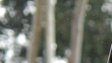 Joy Villa attends the 61st Annual GRAMMY Awards at Staples Center on February 10, 2019 in Los Angeles, California. Photo by Matt Winkelmeyer/Getty Images for The Recording Academy