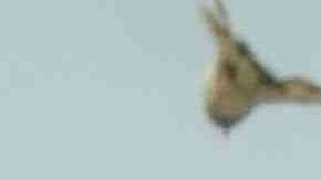 Photo by Itzel Alejandra Martinez for Remezcla