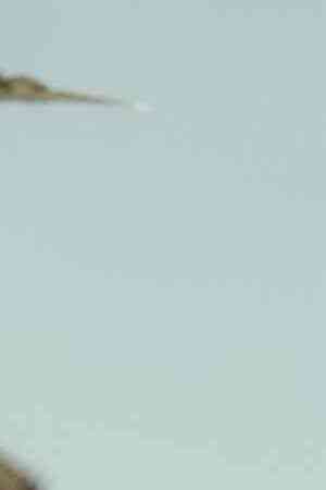 Photo by Itzel Alejandra Martinez for Remezcla