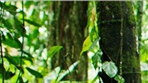 Courtesy of the Sundance Film Festival