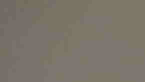 Creative Commons "Sandra Cisneros” by Gage Skidmore is licensed under CC BY 2.0