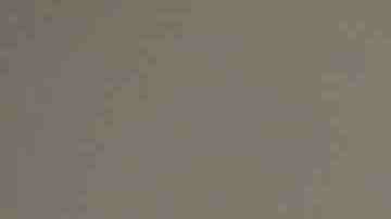 Creative Commons "Sandra Cisneros” by Gage Skidmore is licensed under CC BY 2.0