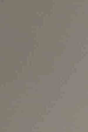 Creative Commons "Sandra Cisneros” by Gage Skidmore is licensed under CC BY 2.0