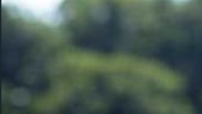 Penelope Cruz in 'Pain & Glory', courtesy of Sony Pictures.