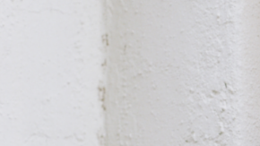 Courtesy of Orienteer