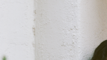 Courtesy of Orienteer