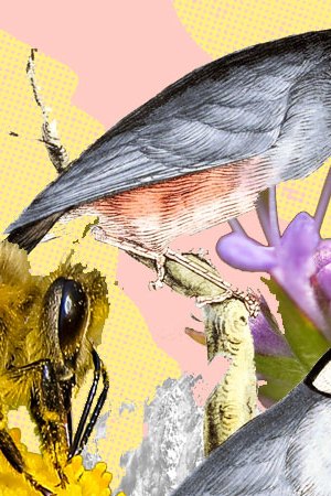 Art by Alan López for Remezcla