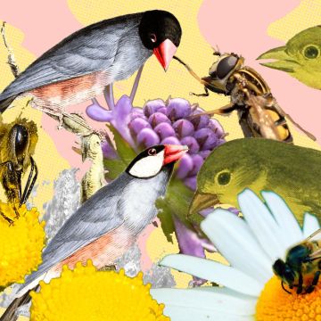Art by Alan López for Remezcla