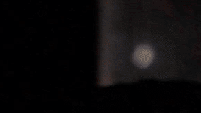 'Autocannibalism' screenshot courtesy of the filmmakers