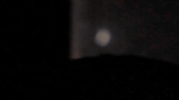 'Autocannibalism' screenshot courtesy of the filmmakers