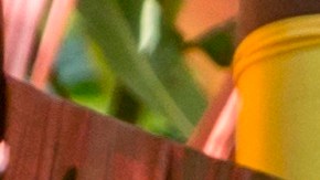 Photo courtesy of Bomba Estéreo