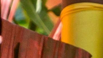 Photo courtesy of Bomba Estéreo