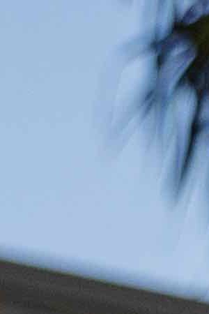 Photo by Alfonso Duran for Remezcla