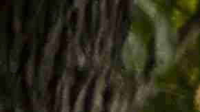 Photo by Hero Images