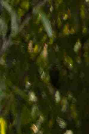 Photo by Hero Images