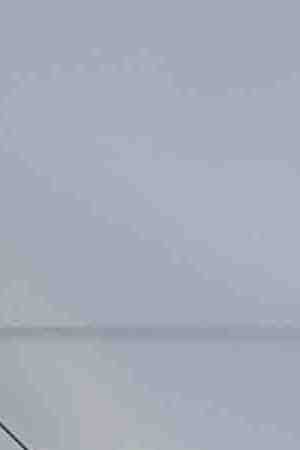 Shakira Barrera attends the 25th Annual Screen Actors Guild Awards at The Shrine Auditorium on January 27, 2019 in Los Angeles, California. Photo by Kevork Djansezian/Getty Images