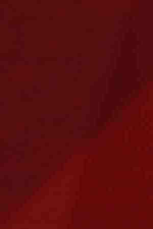 Andres Manuel Lopez Obrador, President of Mexico, speaks during the joint press conference during an Official visit of Pedro Sánchez Pérez-Castejón President of Spain and members of his cabinet at Palacio Nacional on January 30, 2019 in Mexico City, Mexico. Photo by Manuel Velasquez/Getty Images