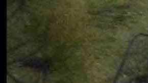 A general view of atmosphere at LA Celebrates The 34th Running Of The Skechers Los Angeles Marathon on March 24, 2019 in Los Angeles, California. Photo by Jerod Harris/Getty Images for Conqur Endurance Group