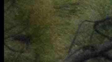 A general view of atmosphere at LA Celebrates The 34th Running Of The Skechers Los Angeles Marathon on March 24, 2019 in Los Angeles, California. Photo by Jerod Harris/Getty Images for Conqur Endurance Group