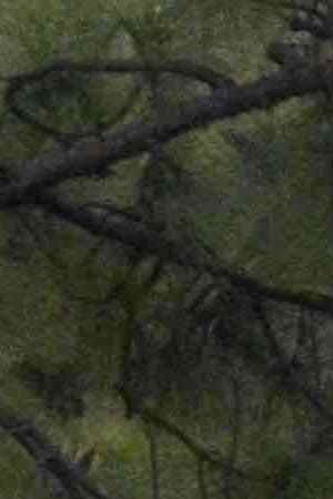 A general view of atmosphere at LA Celebrates The 34th Running Of The Skechers Los Angeles Marathon on March 24, 2019 in Los Angeles, California. Photo by Jerod Harris/Getty Images for Conqur Endurance Group