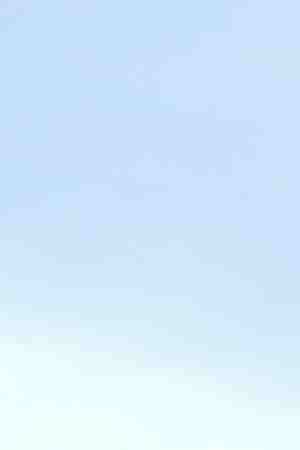 Photo by A_teen / iStock / Getty Images Plus