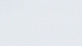 Former Major League Baseball player Jose Canseco attends the debut of "Linda Suzanne Sings Divas of Pop" at the South Point Hotel & Casino. Photo by Gabe Ginsberg/Getty Images for Cheryl J. Kagan PR